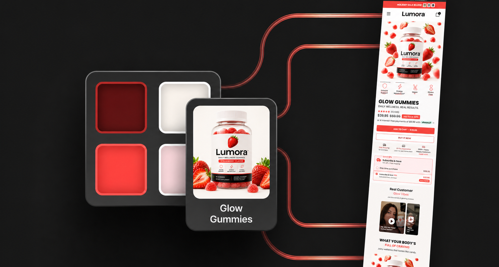 Daily Wellness Gummies